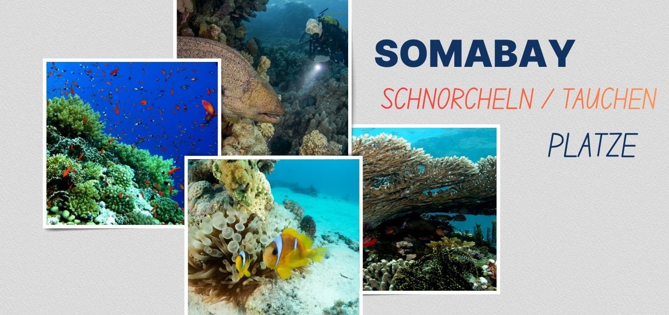 Schnorcheln Tauchen platze