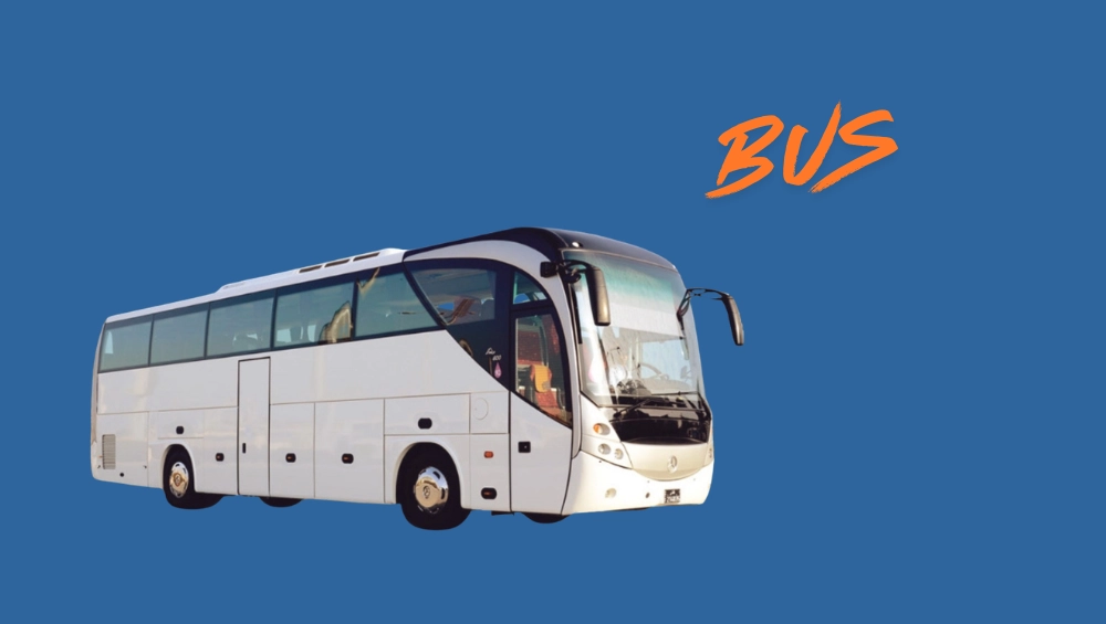 BUS