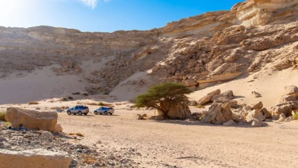 Jeep Safari to Umm Dalfa 3
