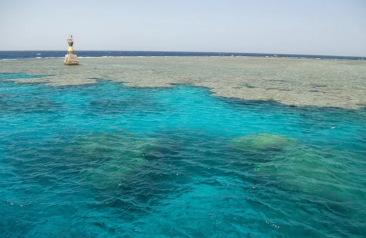 Middle Reef