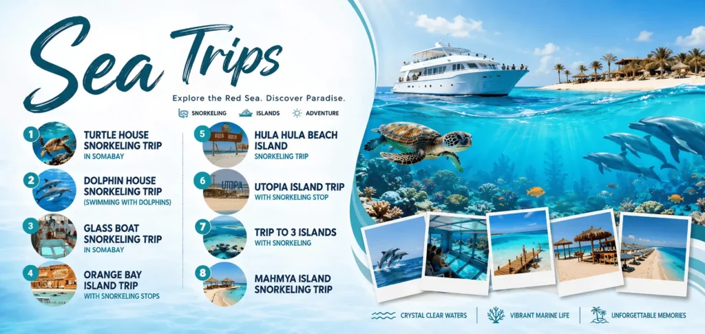 Sea trips Banner Somabay Trips