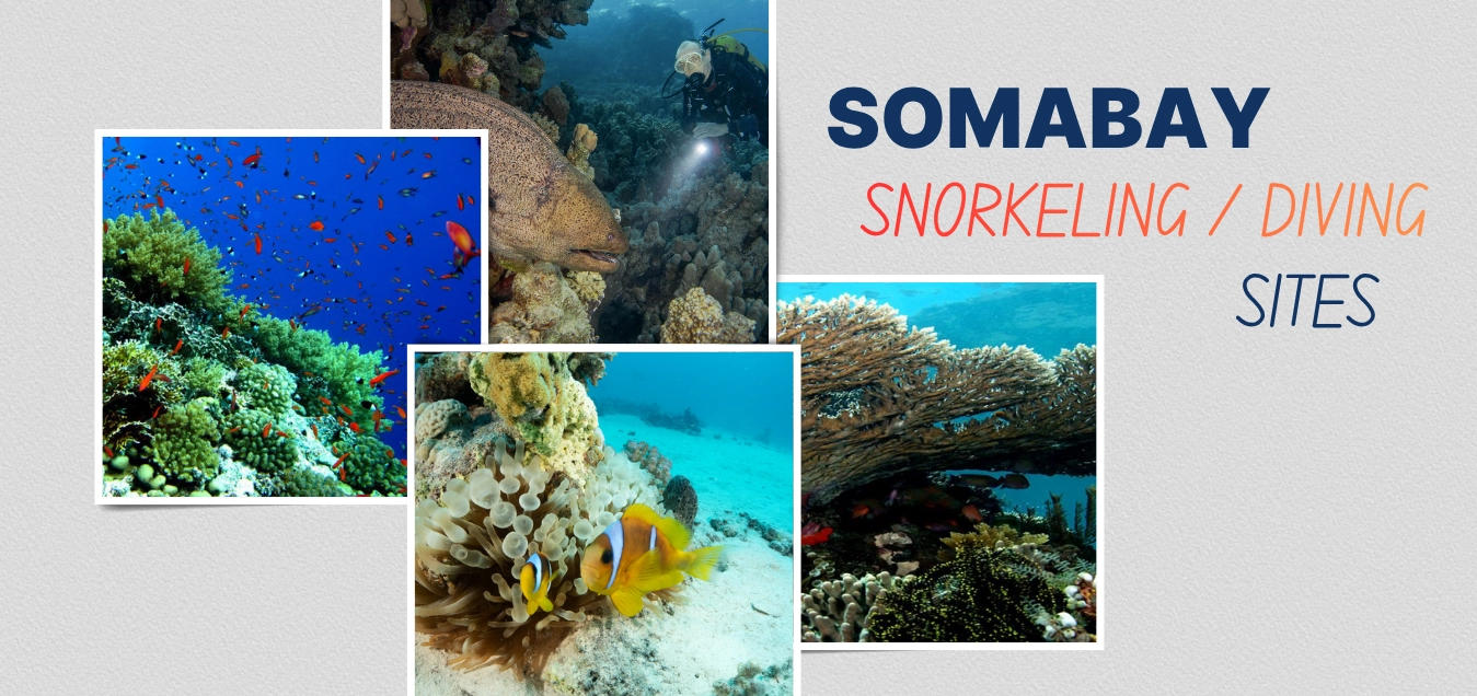 Somabay snorling and diving sites